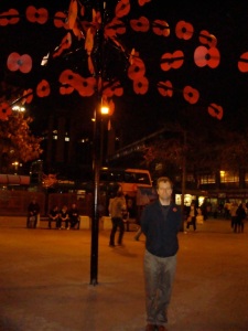 Tree of Poppies, 2009